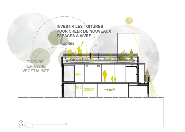 La Jeune Pousse / Abricoop - Vue sur la toiture jardin accessible - Coupe bioclimatique - Seuil architecture