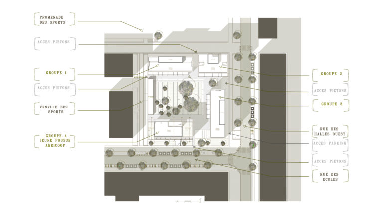 Habitat participatif - Abricoop - plan de masse 1 500 - Seuil architecture