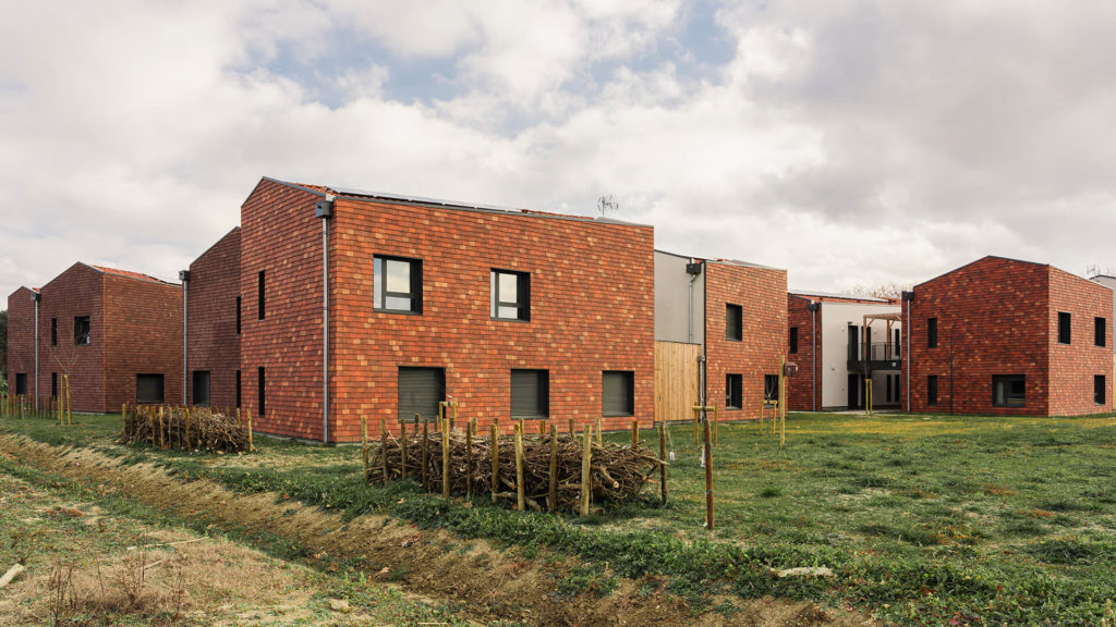 haie de benjes à l'ecocampus de lasbordes