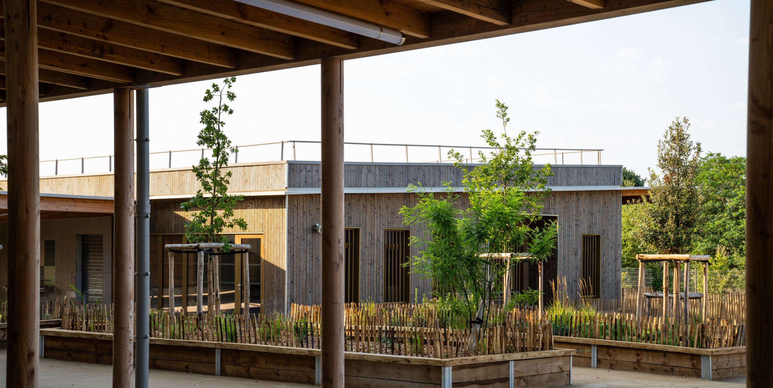 College-Castelnau-CD31-Seuil-architecture-Copyright-Marc-Mondange-Mas-BTP-5-scaled-e1738680941404
